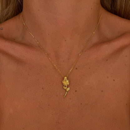 Collana rosa Liberato